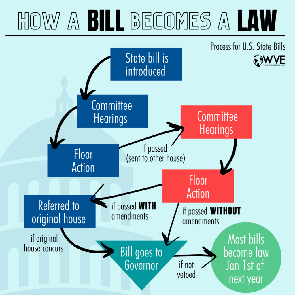 How A Bill Becomes A Law Infographic (credit to Women's Voices for the Earth: https://womensvoices.org/)